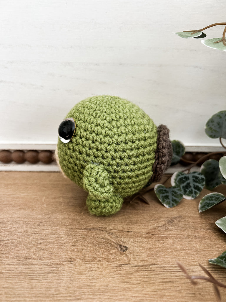 Round Turtle
